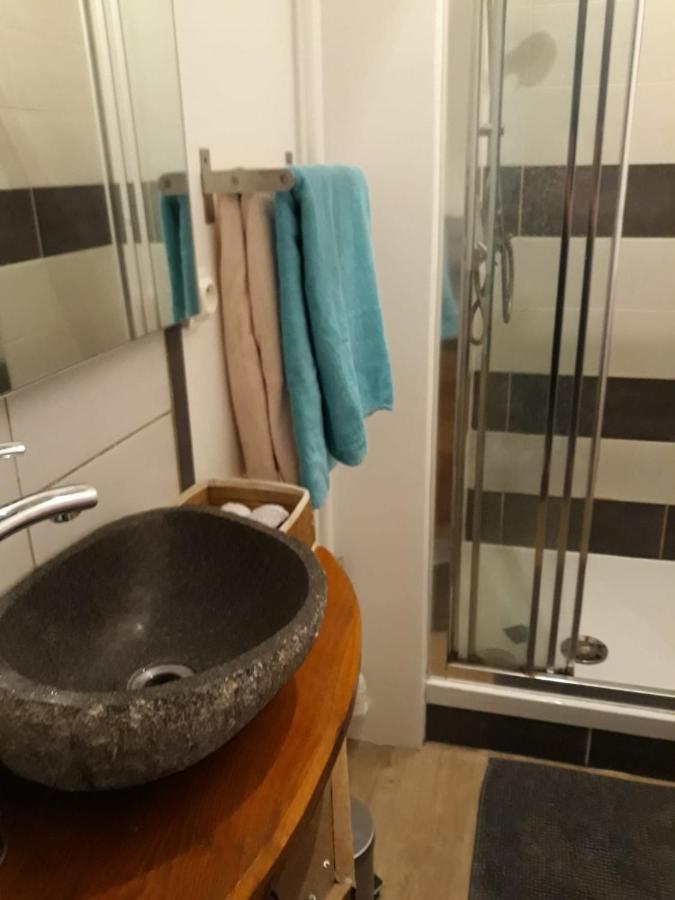 Le Langevin - Appartement Troyes Centre Экстерьер фото